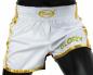 Preview: Fairtex Muay Thai Shorts Glory weiß BSG2
